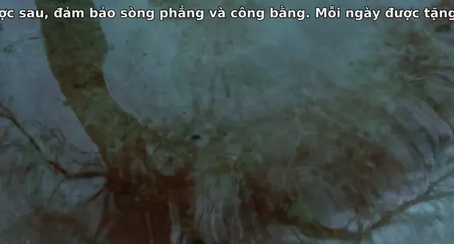 Cây Đời 2011 Vietsub HD - PhimMoiHot Cây Đời 2011 Vietsub HD - PhimMoiHot