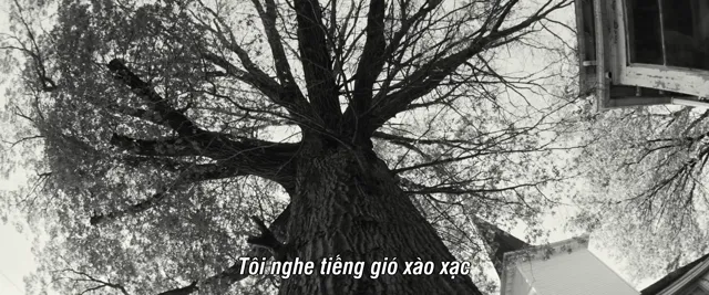 Springsteen: Từ Hư Vô Đến Huyền Thoại tập 1 Vietsub HD - PhimMoiHot Springsteen: Từ Hư Vô Đến Huyền Thoại tập 1 Vietsub HD - PhimMoiHot