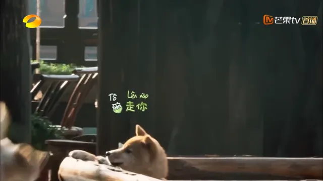 Hướng Về Cuộc Sống (mùa 3) tập 2 Vietsub HD - PhimMoiHot Hướng Về Cuộc Sống (mùa 3) tập 2 Vietsub HD - PhimMoiHot
