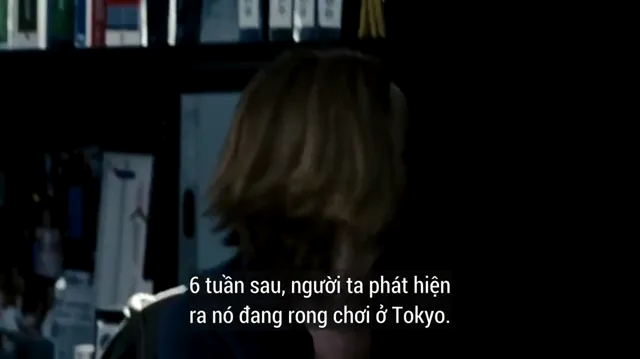 Xem phim Web Tử Thần Vietsub HD tại PhimMoiHot Xem phim Web Tử Thần Vietsub HD tại PhimMoiHot
