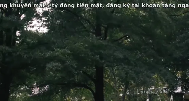 Xem Thảm Họa Toàn Cầu tập 1 Vietsub tại PhimMoiHot Xem Thảm Họa Toàn Cầu tập 1 Vietsub tại PhimMoiHot