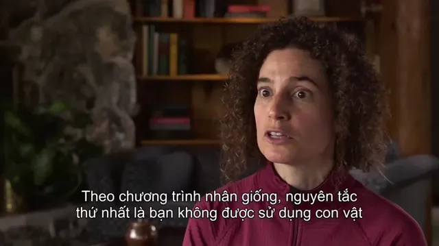Cá đen tập 1 Vietsub HD - PhimMoiHot Cá đen tập 1 Vietsub HD - PhimMoiHot