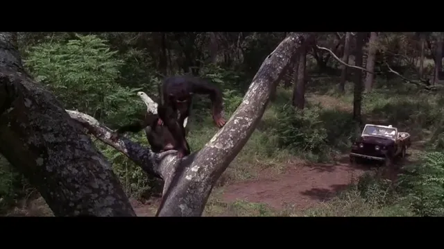 Hình ảnh Ace Ventura: Thiên nhiên vẫy gọi tập 1 trên PhimMoiHot Hình ảnh Ace Ventura: Thiên nhiên vẫy gọi tập 1 trên PhimMoiHot