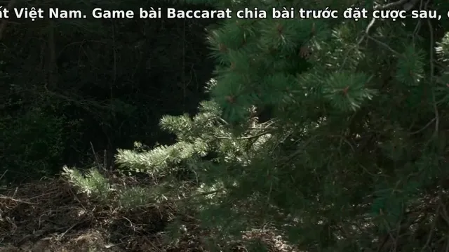 Hiển Linh tập 1 Vietsub HD - PhimMoiHot Hiển Linh tập 1 Vietsub HD - PhimMoiHot