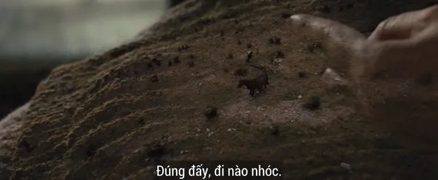 Xem phim Chiến Mã Vietsub HD tại PhimMoiHot Xem phim Chiến Mã Vietsub HD tại PhimMoiHot