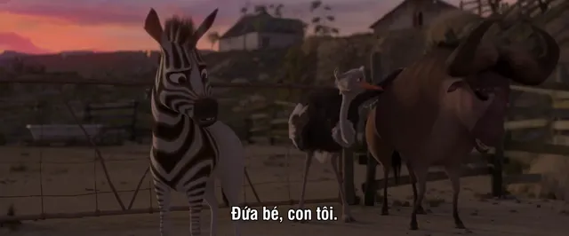 Chú Ngựa Khumba 2013 Vietsub HD - PhimMoiHot Chú Ngựa Khumba 2013 Vietsub HD - PhimMoiHot