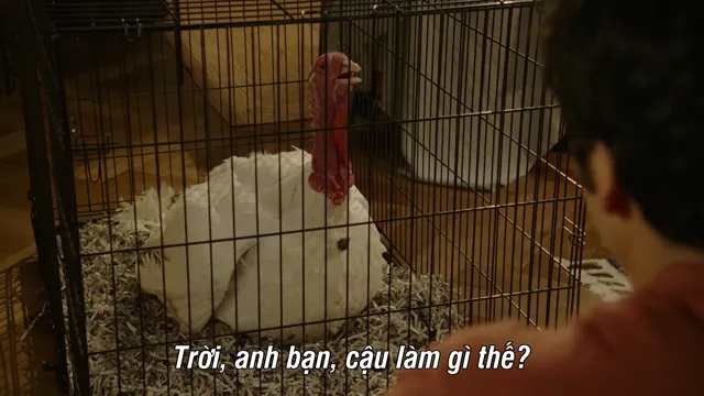 Xem Đỏ, Trắng & Xanh Hoàng Gia tập 1 Vietsub tại PhimMoiHot Xem Đỏ, Trắng & Xanh Hoàng Gia tập 1 Vietsub tại PhimMoiHot