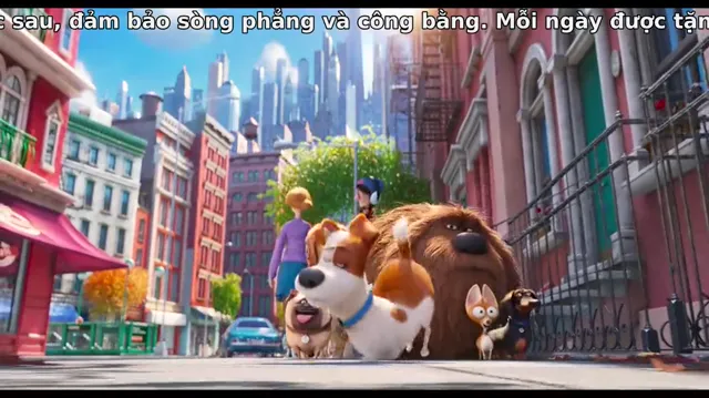 Xem Đẳng cấp thú cưng tập 1 Vietsub tại PhimMoiHot Xem Đẳng cấp thú cưng tập 1 Vietsub tại PhimMoiHot