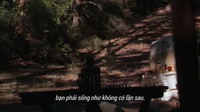 Hình ảnh Chú Vẹt Paulie tập 1 trên PhimMoiHot Hình ảnh Chú Vẹt Paulie tập 1 trên PhimMoiHot