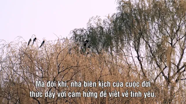 My Korean Boyfriend tập 2 Vietsub HD - PhimMoiHot My Korean Boyfriend tập 2 Vietsub HD - PhimMoiHot