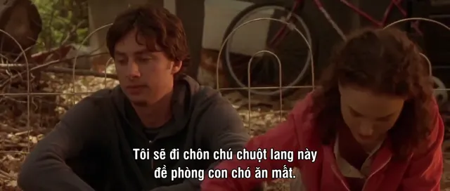 Hình ảnh phim Garden State trên PhimMoiHot Hình ảnh phim Garden State trên PhimMoiHot