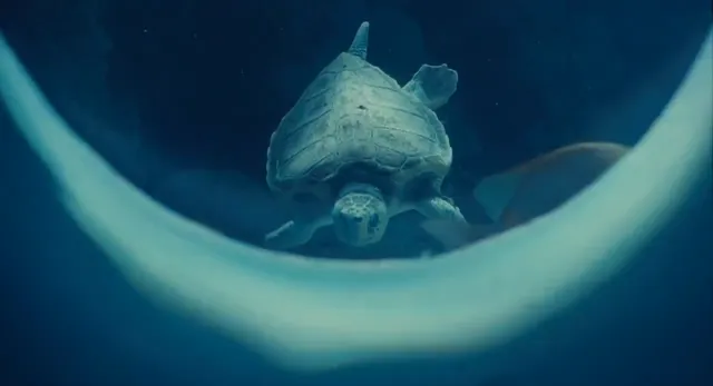 Hình ảnh phim Ocean Heaven trên PhimMoiHot Hình ảnh phim Ocean Heaven trên PhimMoiHot