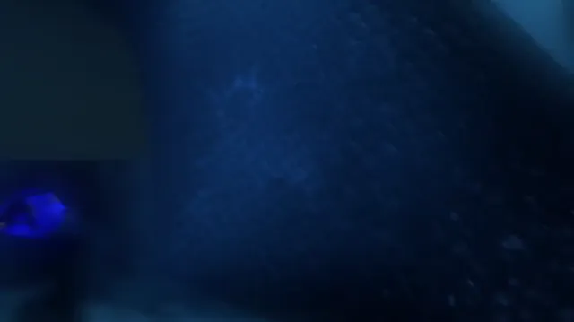 Xem phim Đi Tìm Nemo Vietsub HD tại PhimMoiHot Xem phim Đi Tìm Nemo Vietsub HD tại PhimMoiHot
