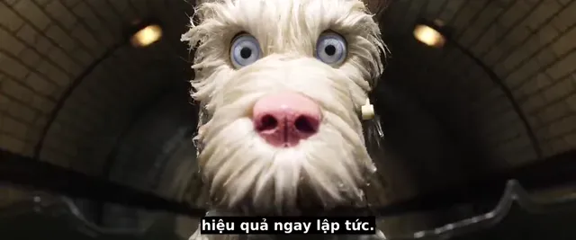 Đảo Của Những Chú Chó 2018 Vietsub HD - PhimMoiHot Đảo Của Những Chú Chó 2018 Vietsub HD - PhimMoiHot