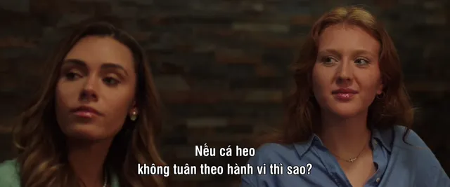 Hình ảnh phim Dolphin Summer trên PhimMoiHot Hình ảnh phim Dolphin Summer trên PhimMoiHot
