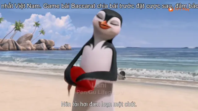 Xem phim Cánh Cụt Lướt Ván Vietsub HD tại PhimMoiHot Xem phim Cánh Cụt Lướt Ván Vietsub HD tại PhimMoiHot