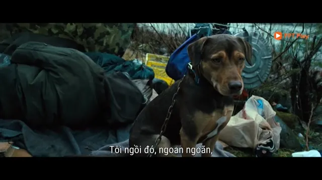 Đầu Gấu Bắc Cực 3: Truy Tìm Cổ Vật tập 1 Vietsub HD - PhimMoiHot Đầu Gấu Bắc Cực 3: Truy Tìm Cổ Vật tập 1 Vietsub HD - PhimMoiHot