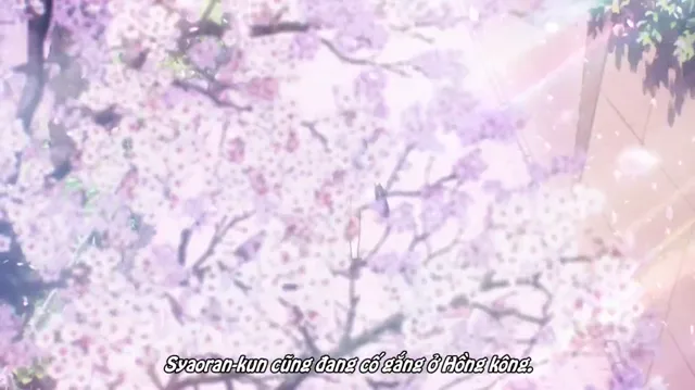 Xem Thủ Lĩnh Thẻ Bài Sakura: Thẻ Bài Trong Suốt tập 13 Vietsub tại PhimMoiHot Xem Thủ Lĩnh Thẻ Bài Sakura: Thẻ Bài Trong Suốt tập 13 Vietsub tại PhimMoiHot