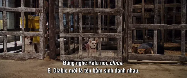 Xem phim Những Chú Chó Chihuahua Vietsub HD tại PhimMoiHot Xem phim Những Chú Chó Chihuahua Vietsub HD tại PhimMoiHot
