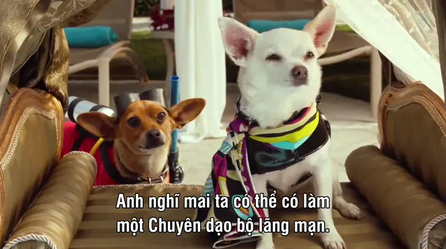 Xem phim Những Chú Chó Chihuahua 3 Vietsub HD tại PhimMoiHot Xem phim Những Chú Chó Chihuahua 3 Vietsub HD tại PhimMoiHot