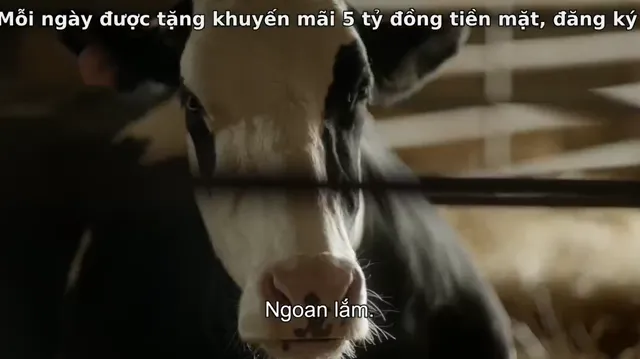 Xem Tự lực (Phần 1) tập 1 Vietsub tại PhimMoiHot Xem Tự lực (Phần 1) tập 1 Vietsub tại PhimMoiHot