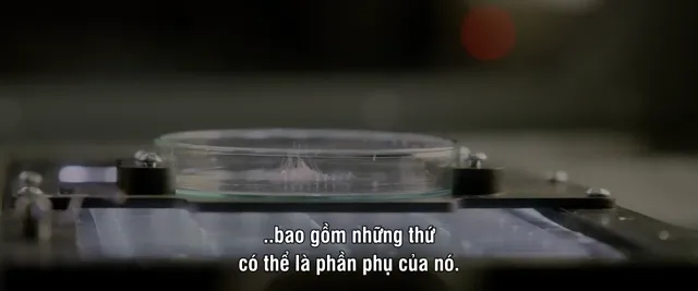 Xem Mầm Sống Hiểm Họaa tập 1 Vietsub tại PhimMoiHot Xem Mầm Sống Hiểm Họaa tập 1 Vietsub tại PhimMoiHot