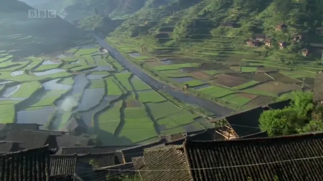 Xem Thiên Nhiên Hoang Dã Trung Quốc tập 6 Vietsub tại PhimMoiHot Xem Thiên Nhiên Hoang Dã Trung Quốc tập 6 Vietsub tại PhimMoiHot