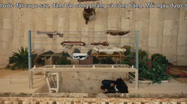 Xem Bà hoàng phương Nam (Phần 3) tập 10 Vietsub tại PhimMoiHot Xem Bà hoàng phương Nam (Phần 3) tập 10 Vietsub tại PhimMoiHot