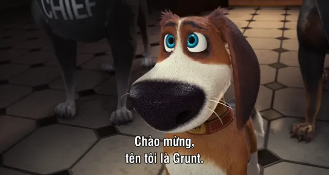 Xem Chú Chó Vượt Ngục tập 1 Vietsub tại PhimMoiHot Xem Chú Chó Vượt Ngục tập 1 Vietsub tại PhimMoiHot