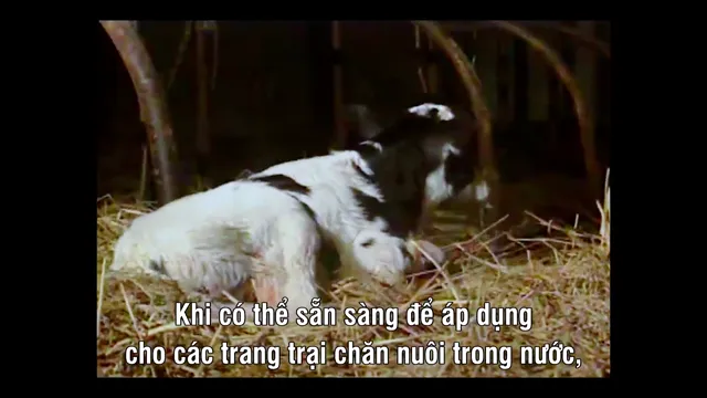 Xem phim Vua nhân bản Vietsub HD tại PhimMoiHot Xem phim Vua nhân bản Vietsub HD tại PhimMoiHot