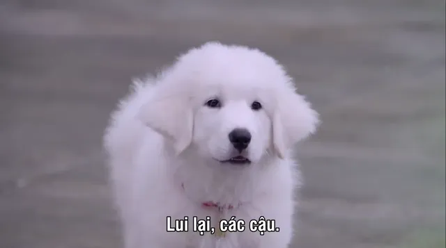 Hình ảnh phim The Search for Santa Paws trên PhimMoiHot Hình ảnh phim The Search for Santa Paws trên PhimMoiHot