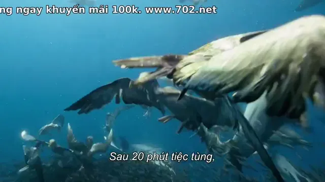 Xem phim Hành tinh của chúng ta Vietsub HD tại PhimMoiHot Xem phim Hành tinh của chúng ta Vietsub HD tại PhimMoiHot