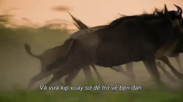 Hình ảnh phim Hành tinh của chúng ta trên PhimMoiHot Hình ảnh phim Hành tinh của chúng ta trên PhimMoiHot