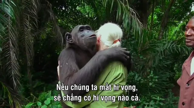 Cuộc Đua Tuyệt Chủng 2015 Vietsub HD - PhimMoiHot Cuộc Đua Tuyệt Chủng 2015 Vietsub HD - PhimMoiHot