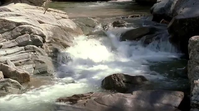Xem phim Xuân, Hạ, Thu, Đông… Rồi Lại Xuân Vietsub HD tại PhimMoiHot Xem phim Xuân, Hạ, Thu, Đông… Rồi Lại Xuân Vietsub HD tại PhimMoiHot