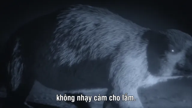 Hình ảnh Hành Tinh Thời Tiền Sử (Phần 2) tập 1 trên PhimMoiHot Hình ảnh Hành Tinh Thời Tiền Sử (Phần 2) tập 1 trên PhimMoiHot