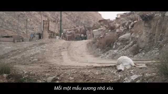 Xem Ba lần chết của Marisela Escobedo tập 1 Vietsub tại PhimMoiHot Xem Ba lần chết của Marisela Escobedo tập 1 Vietsub tại PhimMoiHot
