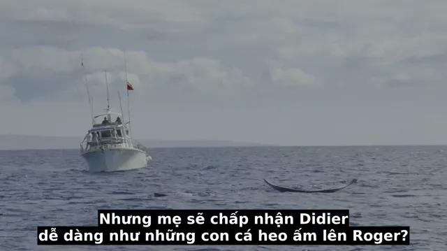 Xem phim Diving with Dolphins Vietsub HD tại PhimMoiHot Xem phim Diving with Dolphins Vietsub HD tại PhimMoiHot