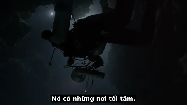 Hình ảnh phim Diving with Dolphins trên PhimMoiHot Hình ảnh phim Diving with Dolphins trên PhimMoiHot