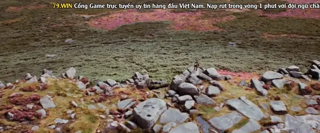 Đôi Bạn Tác Chiến 2015 Vietsub HD - PhimMoiHot