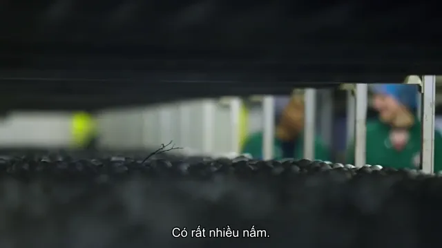Vào bếp cùng Nadiya tập 2 Vietsub HD - PhimMoiHot Vào bếp cùng Nadiya tập 2 Vietsub HD - PhimMoiHot
