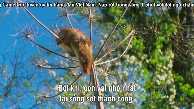 Xem Thế Giới Siêu Nhỏ (Phần 2) tập 2 Vietsub tại PhimMoiHot Xem Thế Giới Siêu Nhỏ (Phần 2) tập 2 Vietsub tại PhimMoiHot