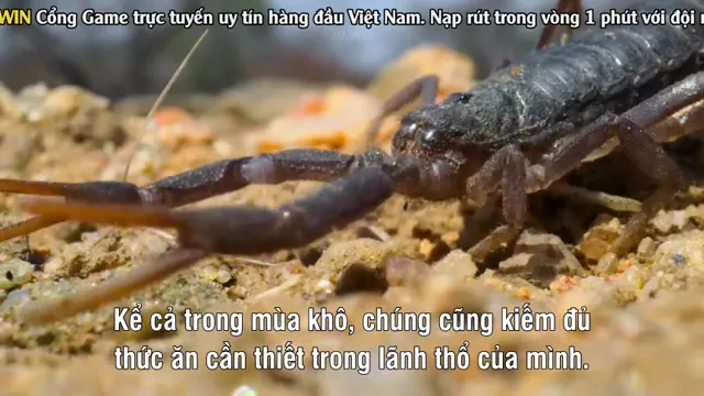Xem Thế Giới Siêu Nhỏ (Phần 1) tập 2 Vietsub tại PhimMoiHot Xem Thế Giới Siêu Nhỏ (Phần 1) tập 2 Vietsub tại PhimMoiHot