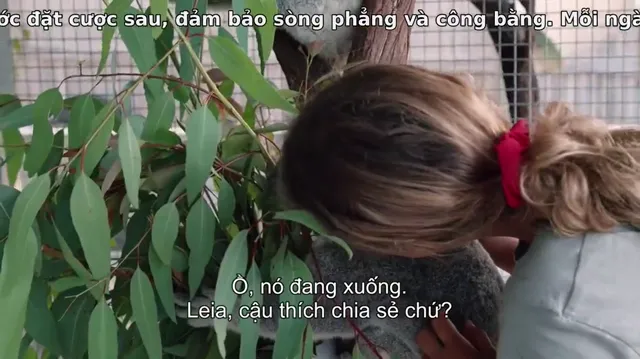 Hình ảnh Thế giới gấu túi của Izzy (Phần 1) tập 1 trên PhimMoiHot Hình ảnh Thế giới gấu túi của Izzy (Phần 1) tập 1 trên PhimMoiHot