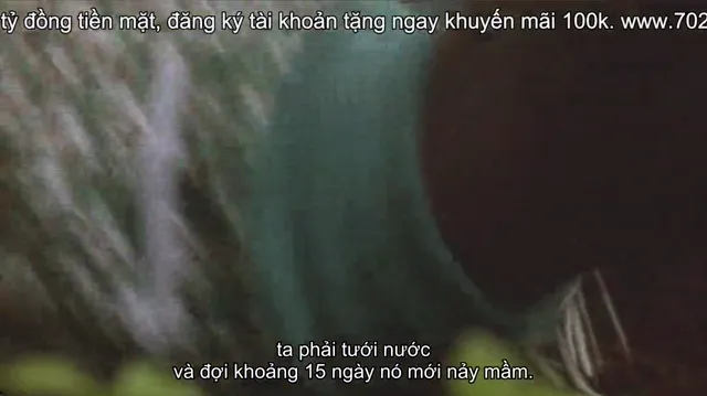 Xem Emicida: AmarElo – It’s All For Yesterday tập 1 Vietsub tại PhimMoiHot Xem Emicida: AmarElo – It’s All For Yesterday tập 1 Vietsub tại PhimMoiHot