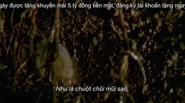Hình ảnh Hành tinh kỳ quái tập 9 trên PhimMoiHot Hình ảnh Hành tinh kỳ quái tập 9 trên PhimMoiHot