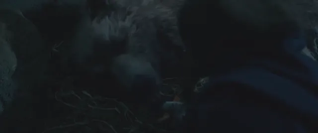 Hình ảnh Truy Tìm Ngôi Sao Giáng Sinh tập 1 trên PhimMoiHot Hình ảnh Truy Tìm Ngôi Sao Giáng Sinh tập 1 trên PhimMoiHot