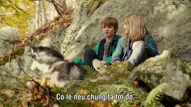 Hình ảnh Against the Wild tập 1 trên PhimMoiHot