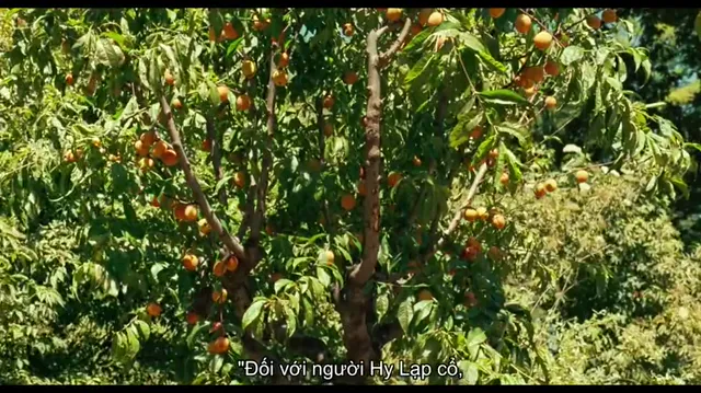 Xem phim Gọi em bằng tên anh Vietsub HD tại PhimMoiHot Xem phim Gọi em bằng tên anh Vietsub HD tại PhimMoiHot
