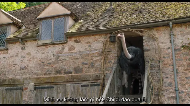 Xem phim Bác sĩ Dolittle: Chuyến phiêu lưu thần thoại Vietsub HD tại PhimMoiHot
